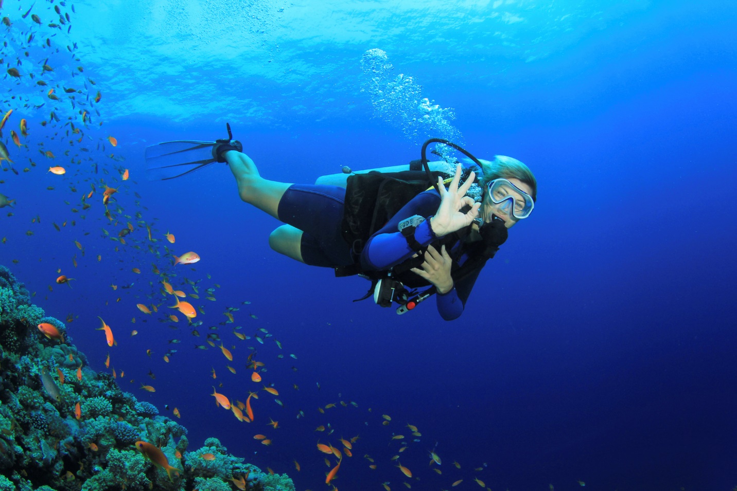Group Tour: Beginner Dives – Cham Islands Diving