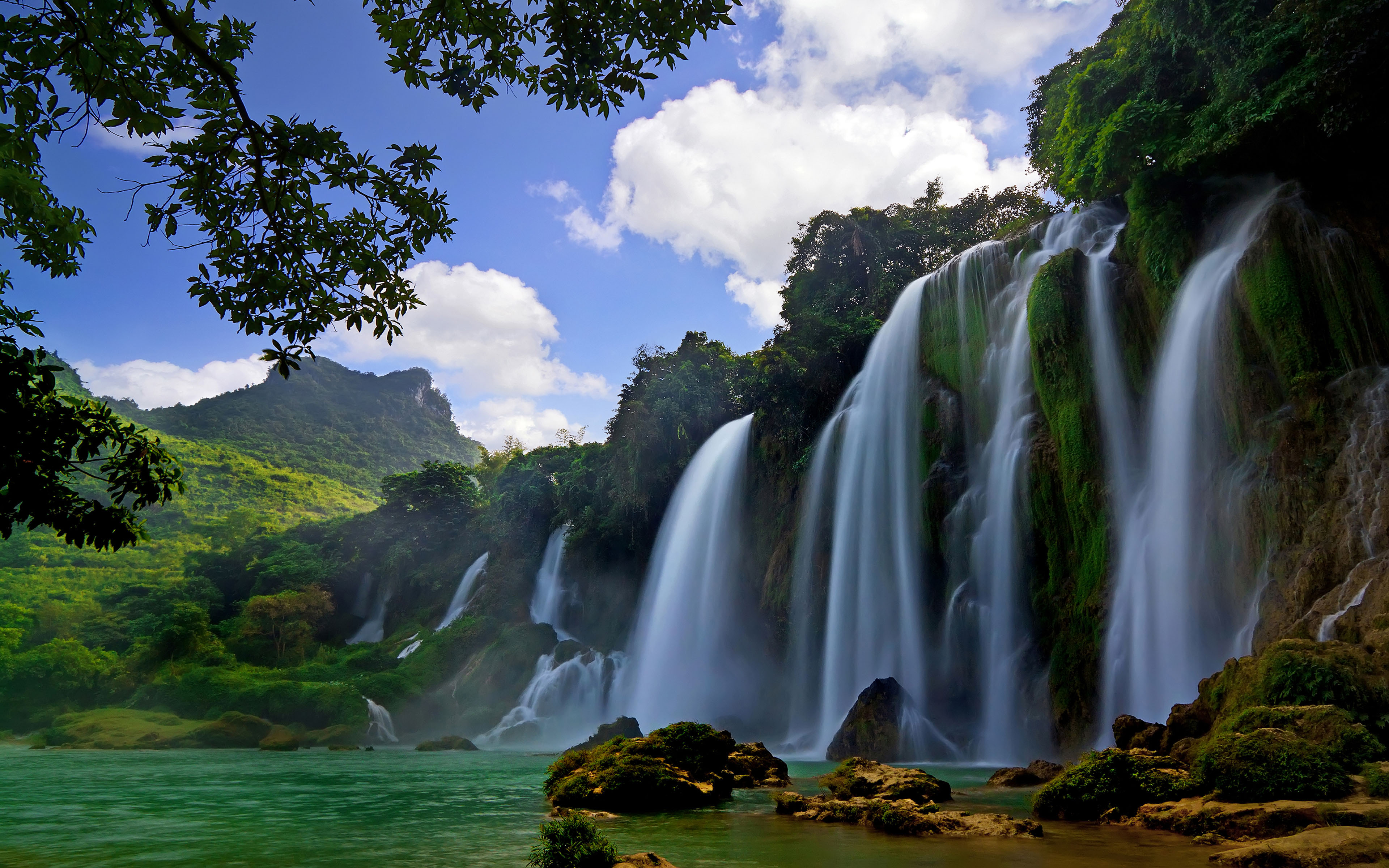 Group Tour: Bach Ma National Park Tour From Hoi An