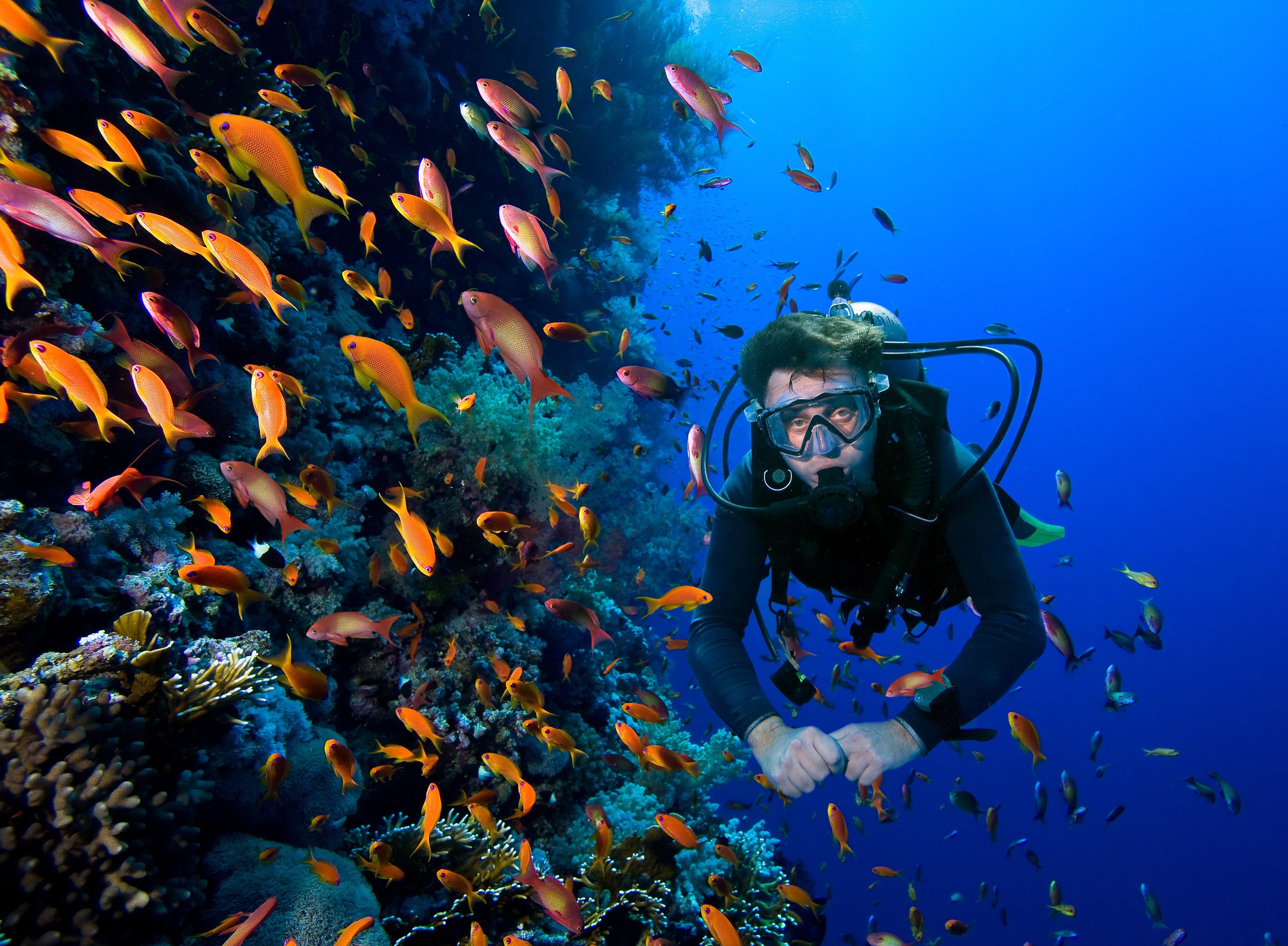 Group Tour: Fun Diving – Certified Diver – Cham Islands Diving
